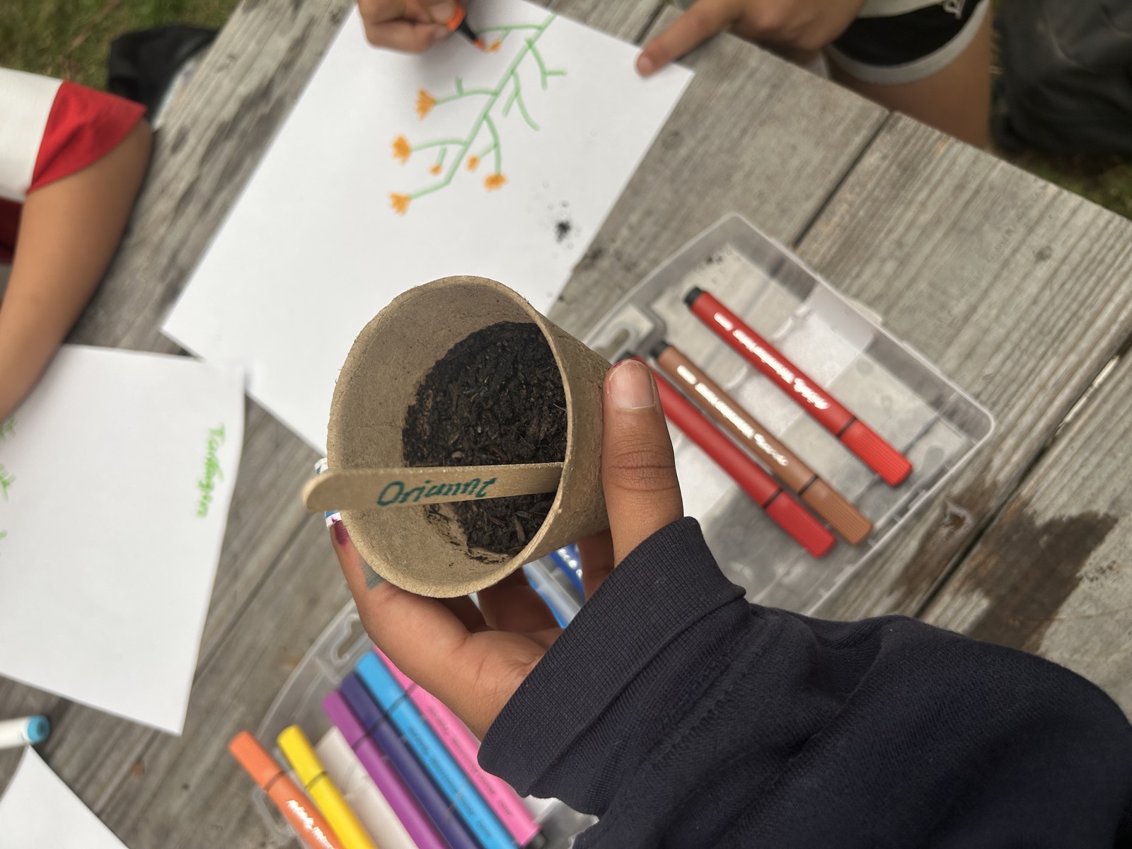 Teatown Summer Camp program